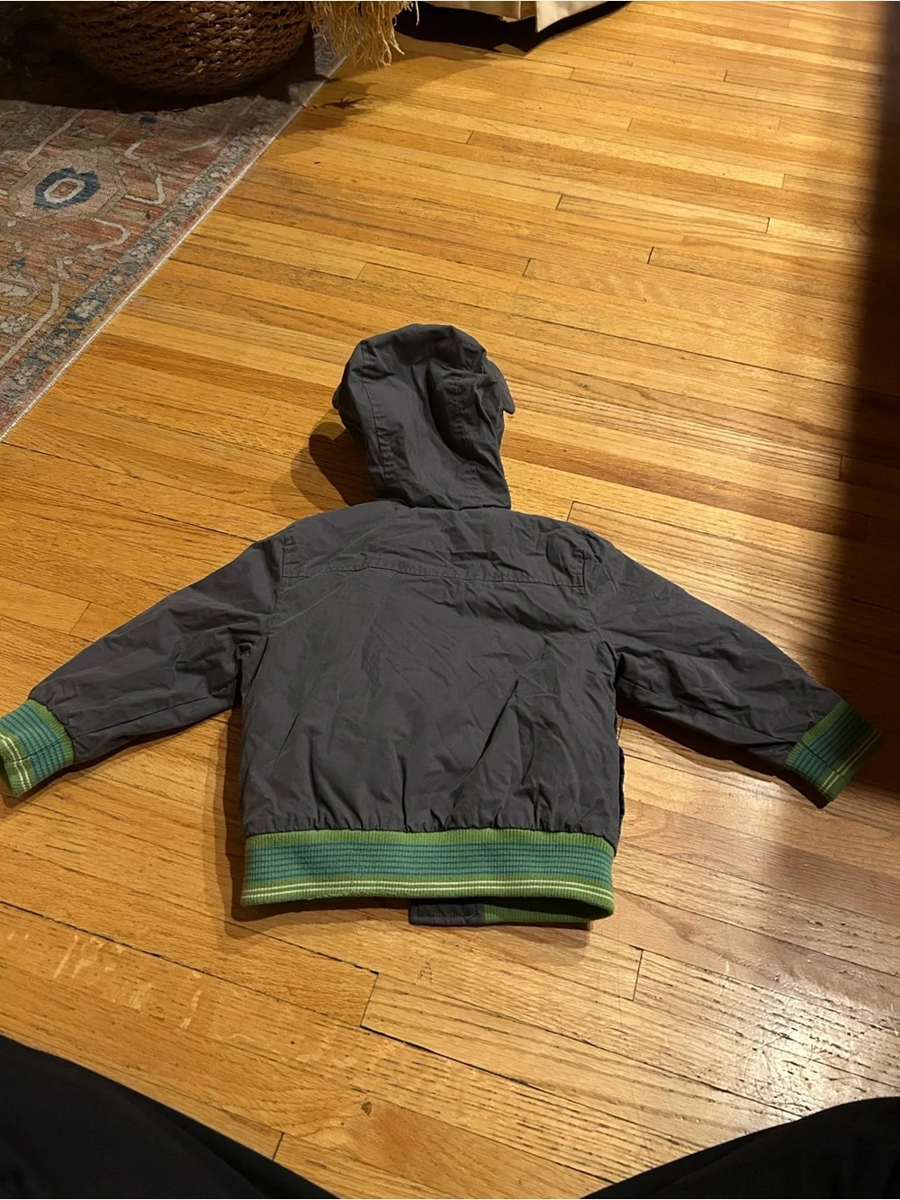 Disney the jungle book Hooded Kids Jacket with tiger Patch